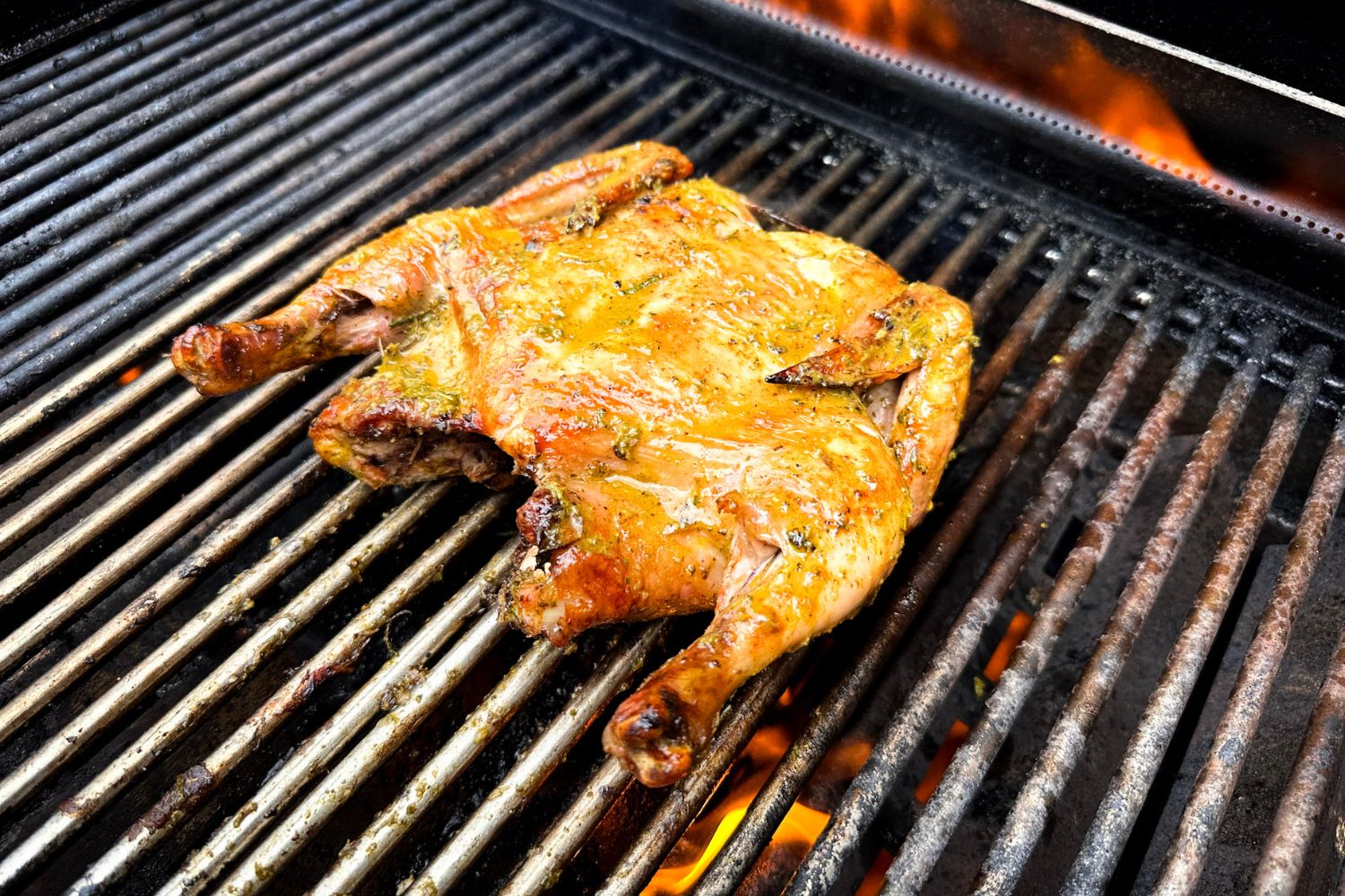 Frango Assado Frango Assado