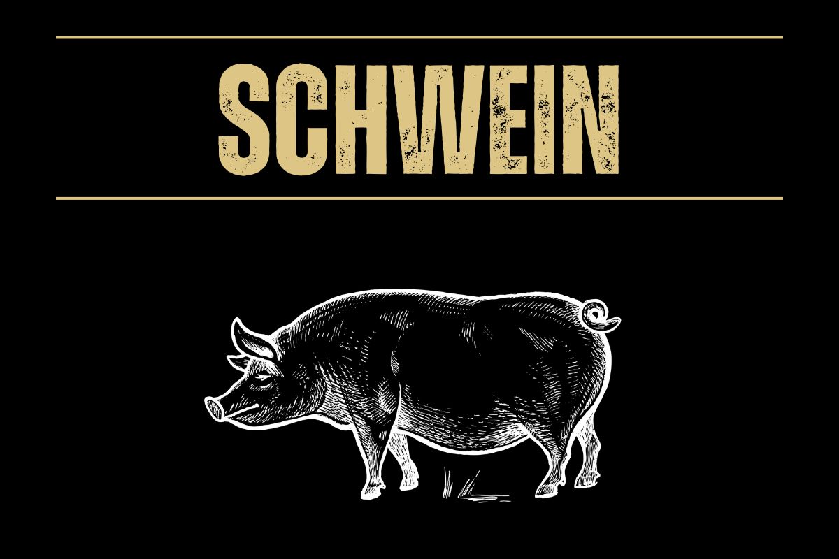 Schwein von Oberpfalz Beef Schwein von Oberpfalz Beef