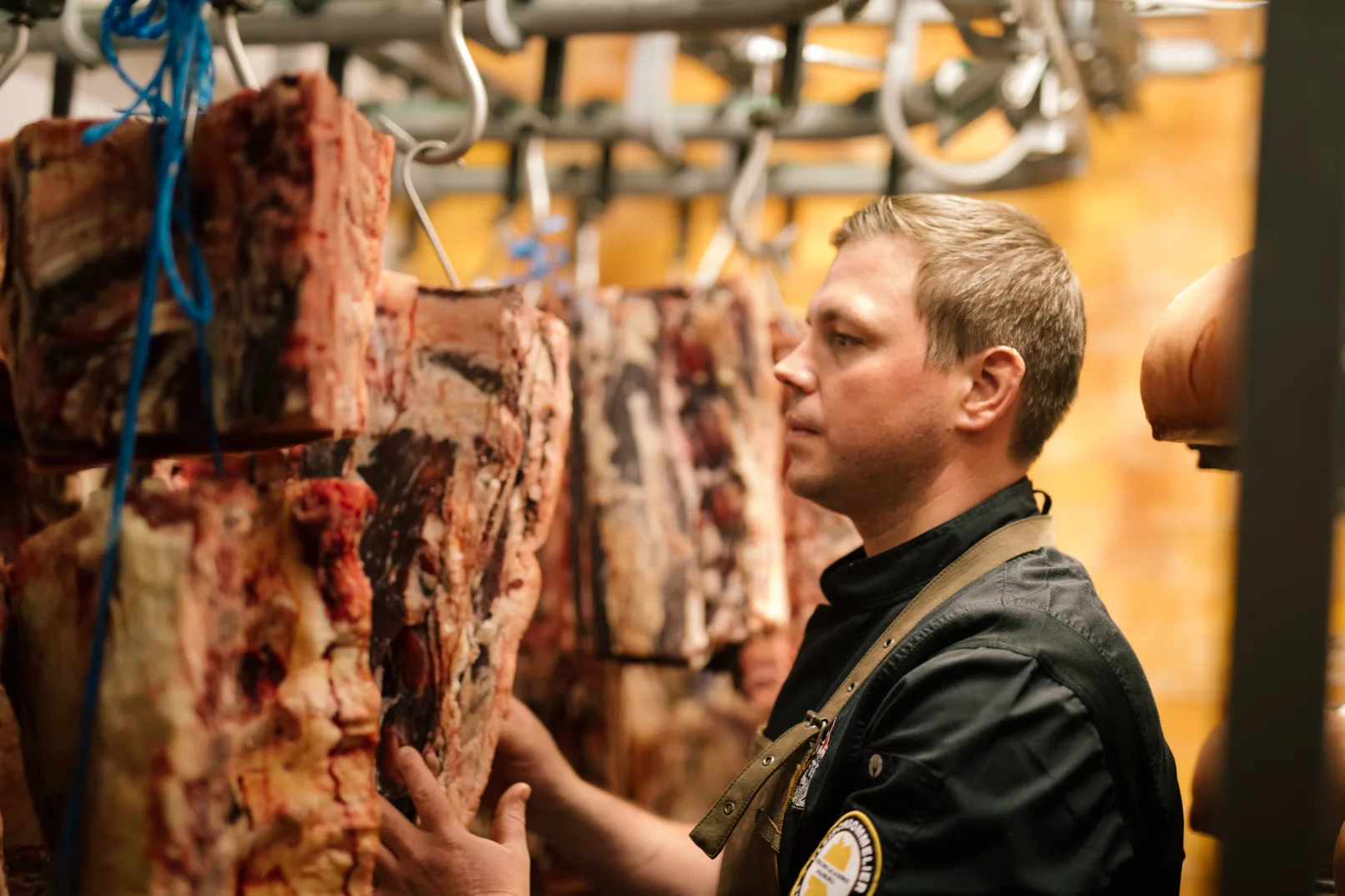 Metzgermeister Johannes Lotter präsentiert hochwertiges Oberpfalz-Beef aus eigener Herstellung Ein kräftiges Oberpfälzer Rind der Rasse Fleckvieh steht auf einer saftig grünen Weide vor bewaldeten Hügeln unter leicht bewölktem Himmel – regionale, nachhaltige Rinderhaltung in der Oberpfalz.