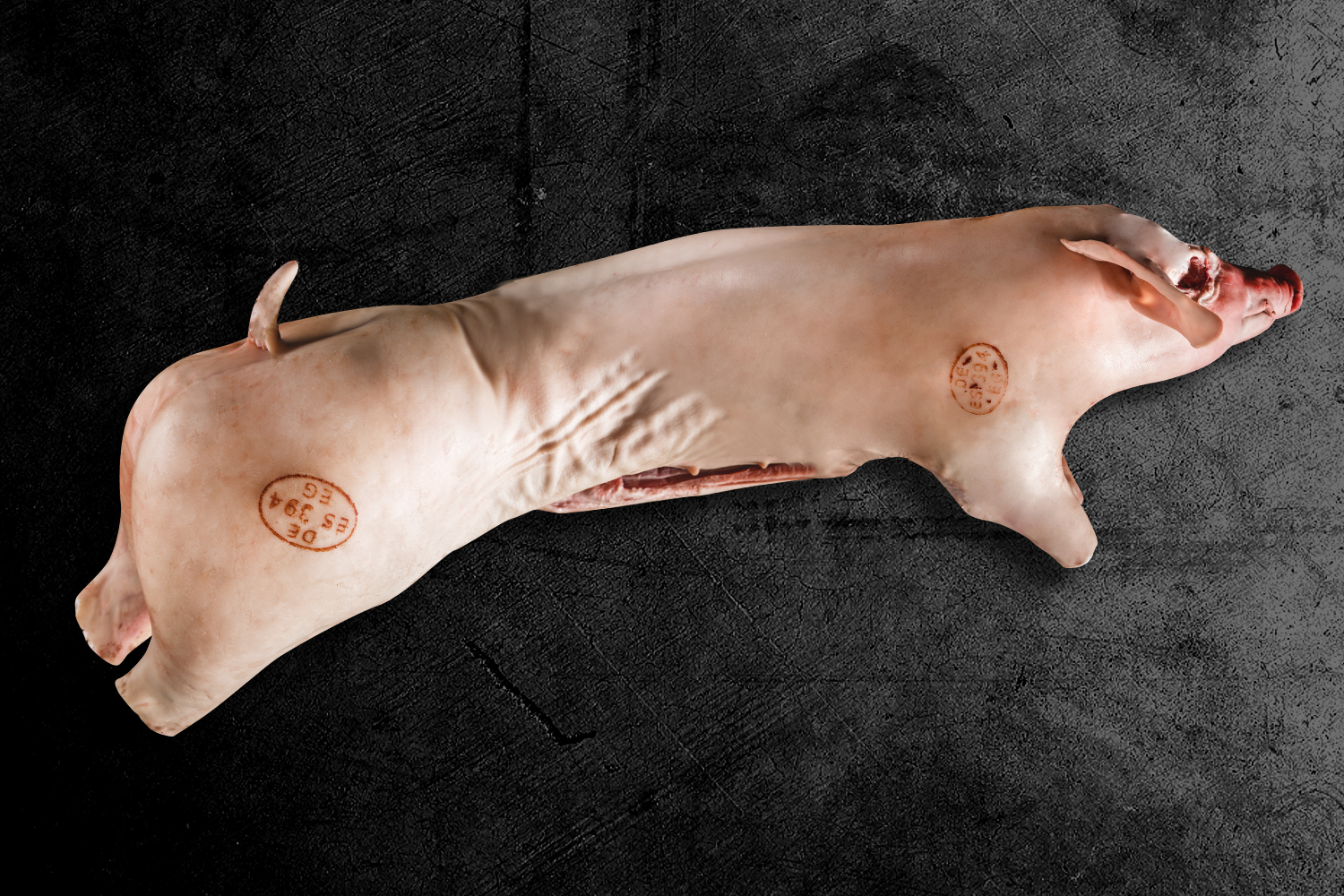 Spanferkel ganz gegrillt vom Oberpfälzer Landschwein auf Holzbrett serviert Ganzes, knusprig gebratenes Spanferkel vom Oberpfälzer Landschwein auf Grillrost, goldbraune Haut glänzend, mit Kräutern verziert, im Hintergrund Holzkohle und Grill-Atmosphäre – traditionelle bayerische Spezialität für BBQ oder Festessen.