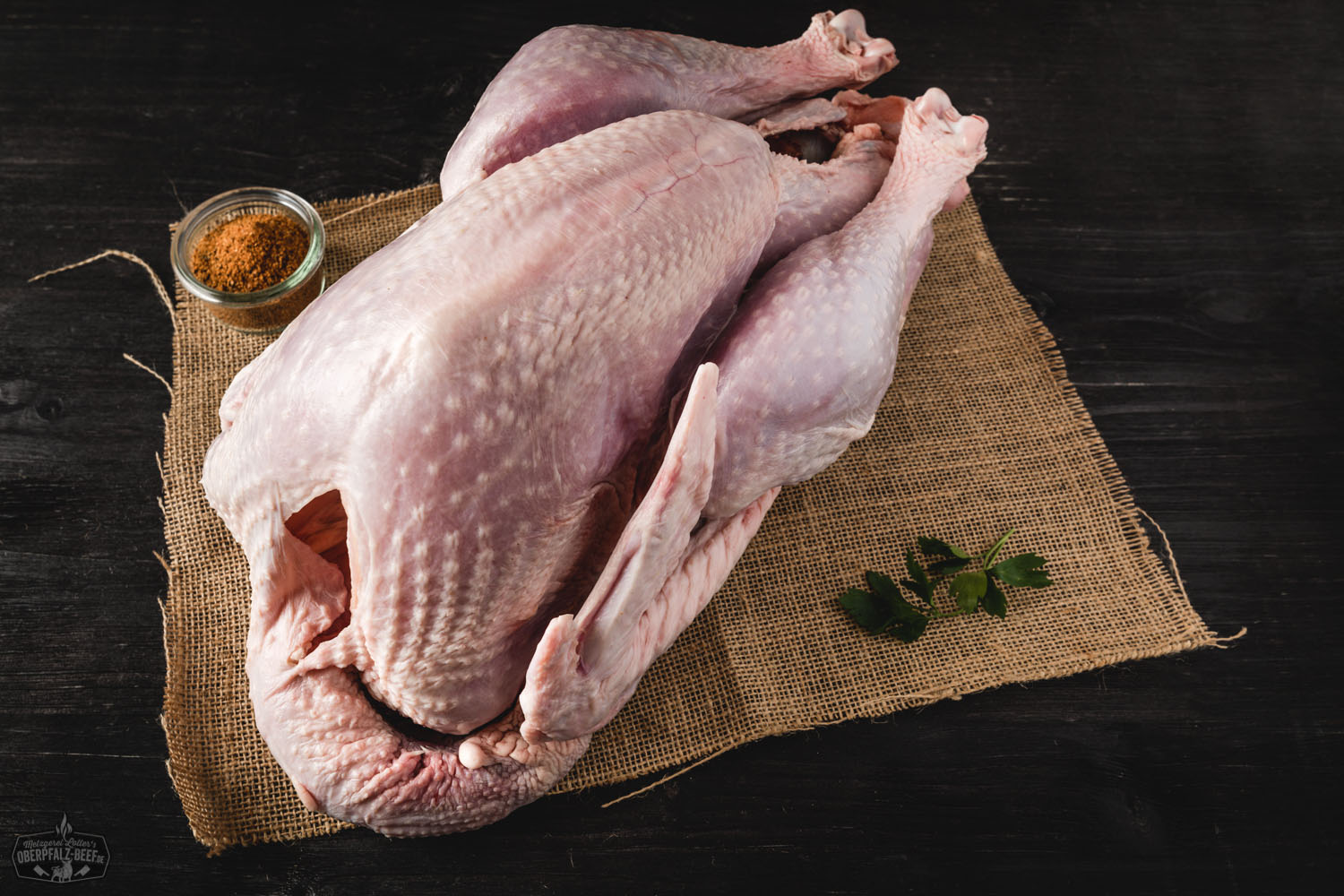Nahaufnahme einer jungen Pute mit hellem, flauschigem Gefieder, die frontal in die Kamera blickt – Baby-Pute im Stall; Symbolbild für Geflügelzucht, artgerechte Tierhaltung und frisches Putenfleisch aus der Oberpfalz.