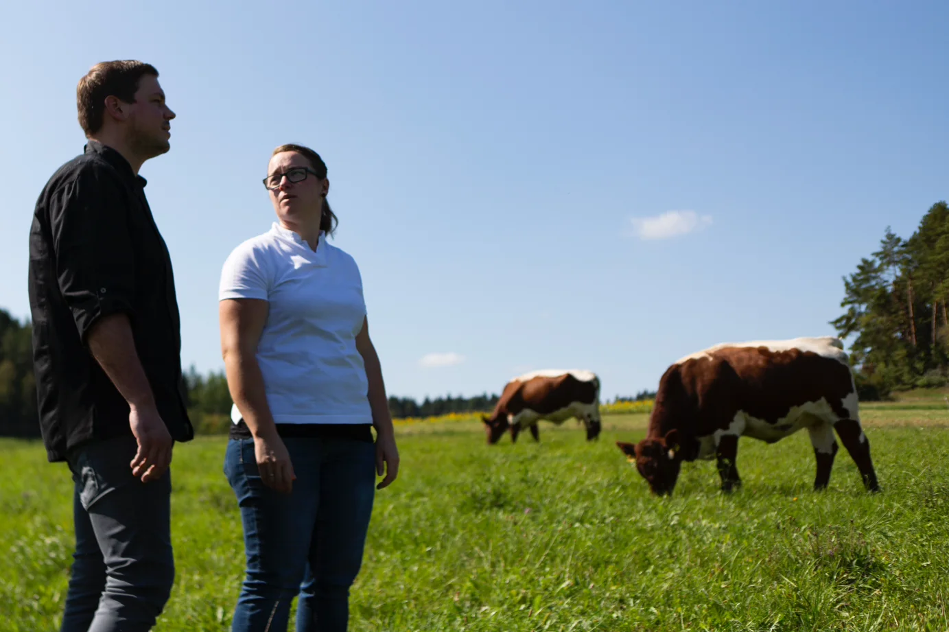 Landwirt der Oberpfalz bei der Rinderzucht – Regionales Bio-Rindfleisch direkt vom Bauern Oberpfalz Beef Landwirt stolz neben seinen Rindern auf der Weide stehend, frisches regionales Rindfleisch, nachhaltige Landwirtschaft in Bayern