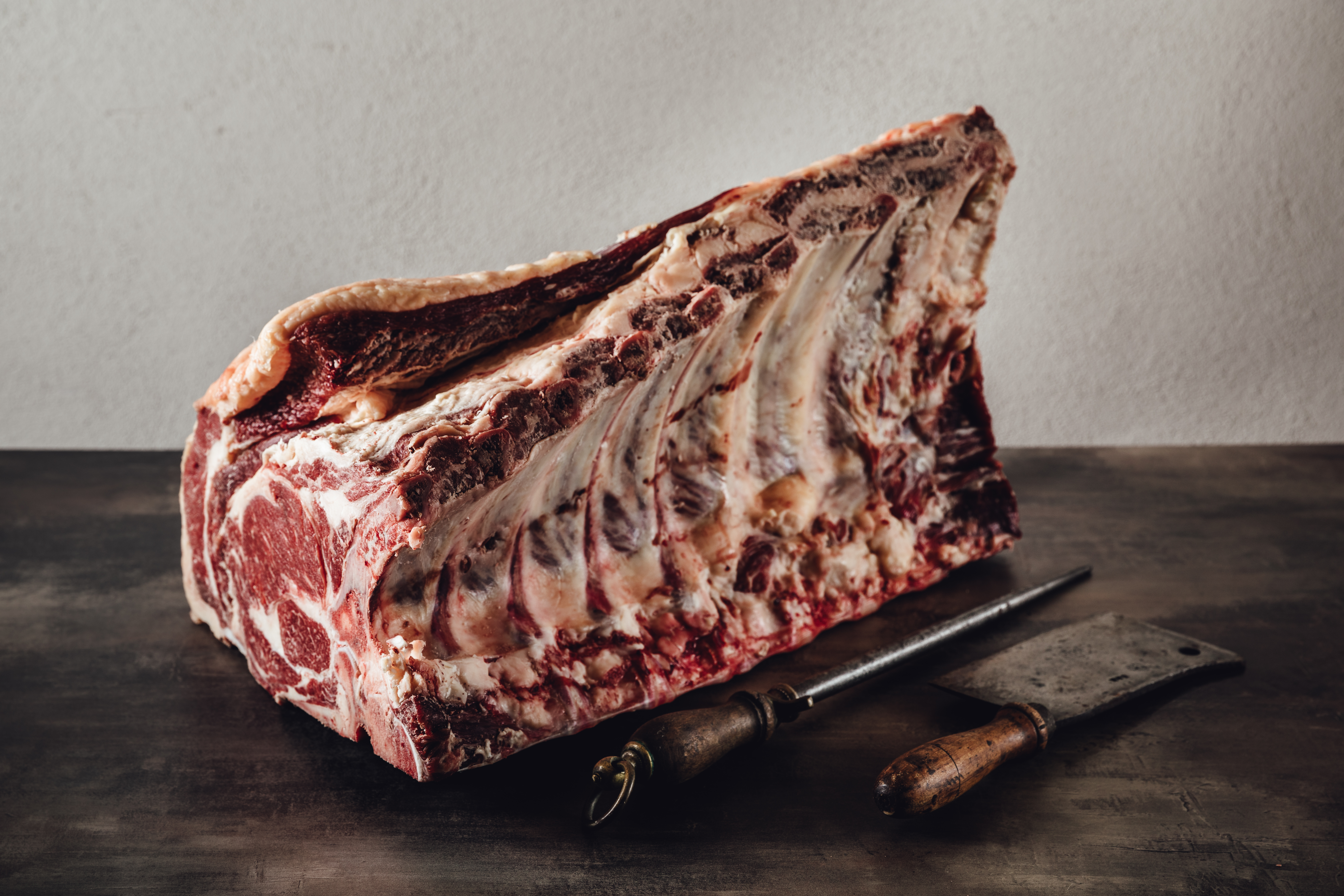 Oberpfalz Beef Rind auf Weide - Fleischqualität und artgerechte Haltung Oberpfalz Beef Rind in freier Natur, saftiges Grünland im Hintergrund, perfekte Darstellung der regionalen Fleischqualität