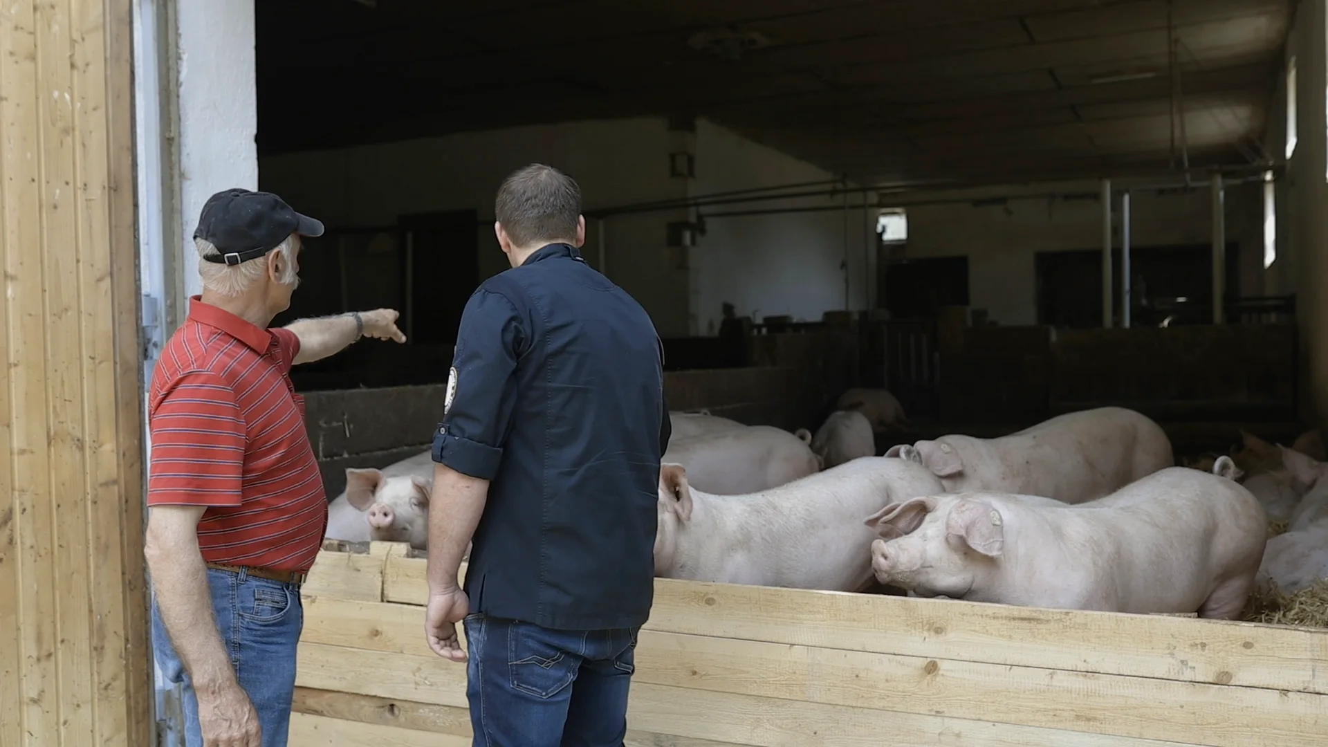 Metzgerei Lotter in der Oberpfalz – Regionale Fleischwaren direkt vom Erzeuger Saftiges, perfekt gegrilltes Rindfleisch-Steak von Oberpfalz Beef auf einem Holzbrett angerichtet, flankiert von frischen Kräutern, Meersalz und BBQ-Zubehör – hochwertiges Dry Aged Beef für Grillliebhaber und Fleischgenießer.